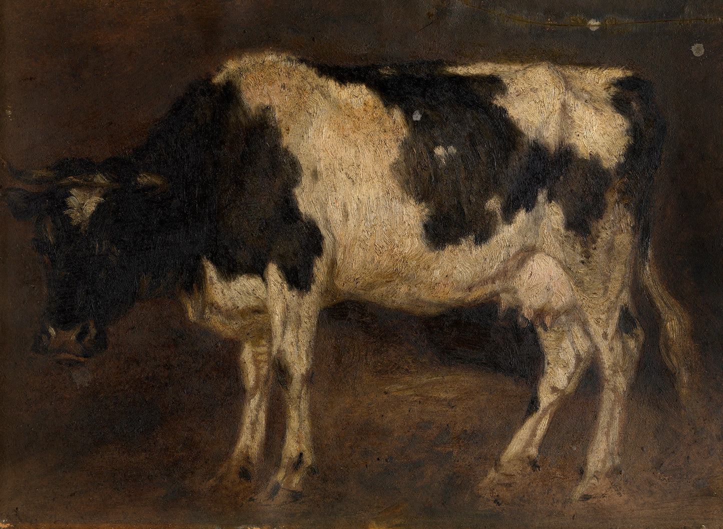 Vintage Cow Artwork – Fine Art Print