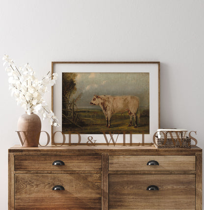 Vintage White Bull Art Print | Farm Animal Scene Reprint for Rustic Home Décor