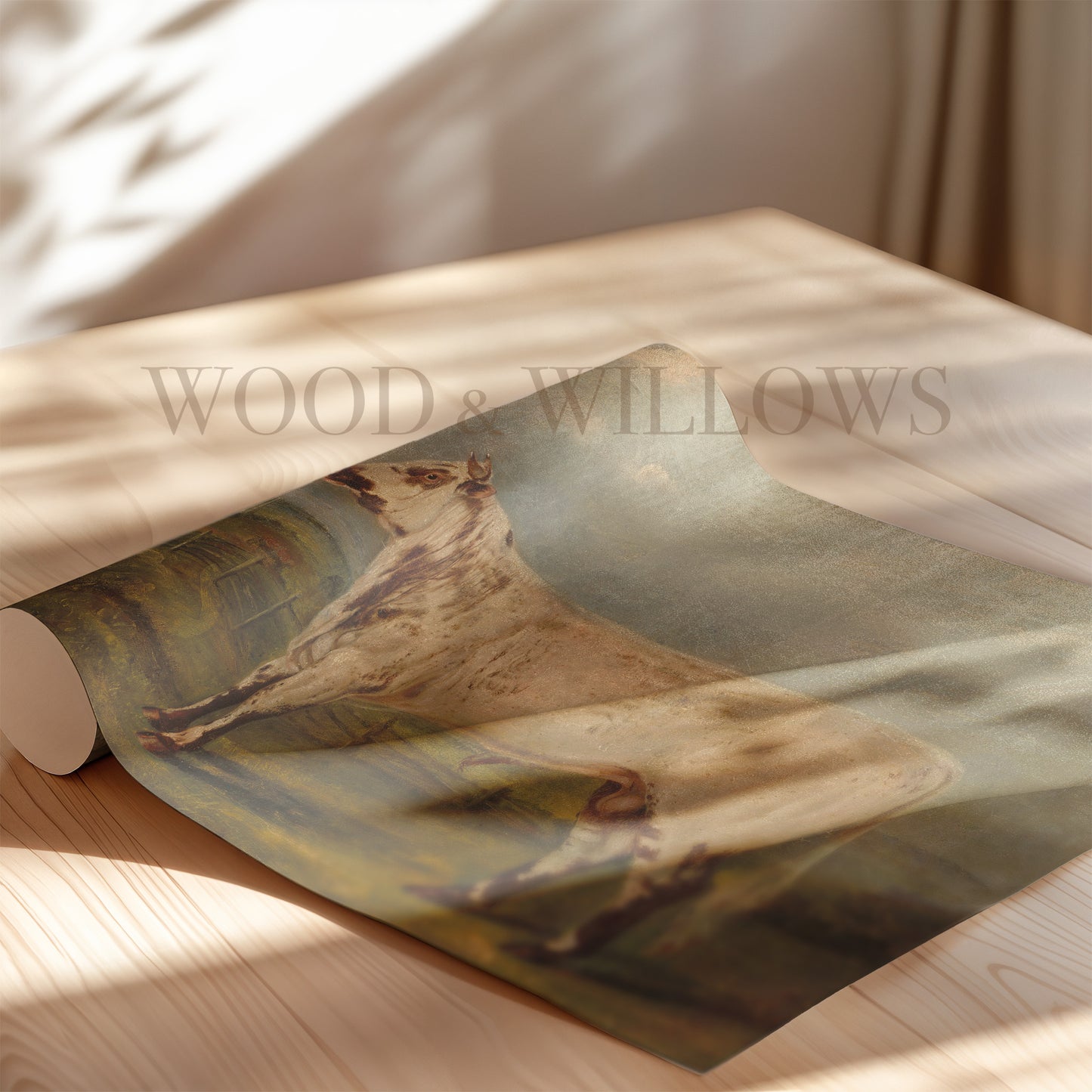 Vintage White Bull Art Print | Farm Animal Scene Reprint for Rustic Home Décor